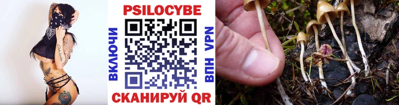 Псилоцибиновые грибы Psilocybine cubensis  что такое   даркнет какой сайт  Вуктыл  МЕГА как зайти 